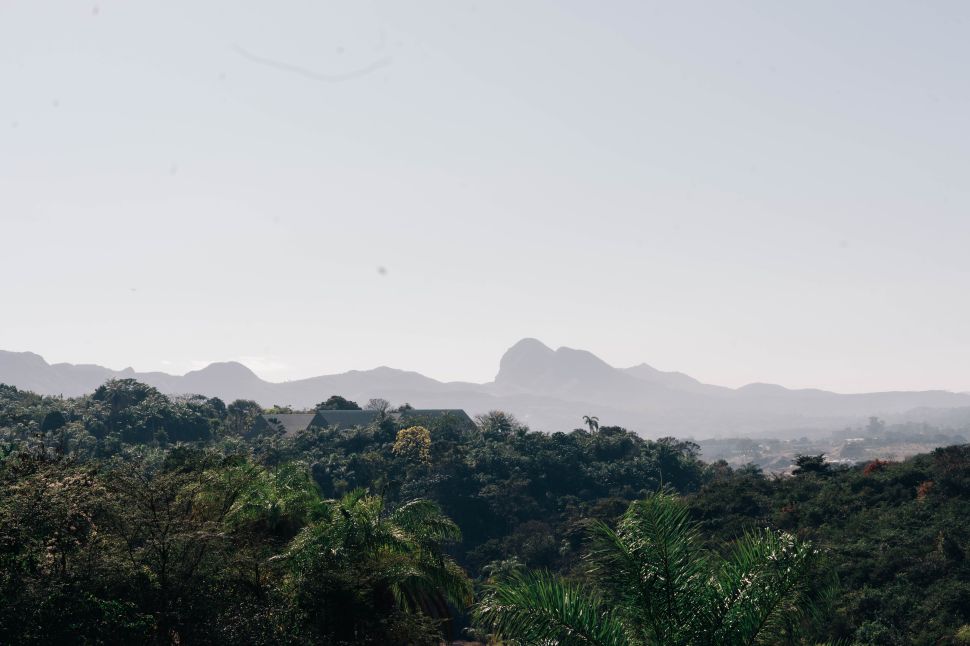 bernardo paz is extending instituto inhotim’s legacy with a new museum for art and nature