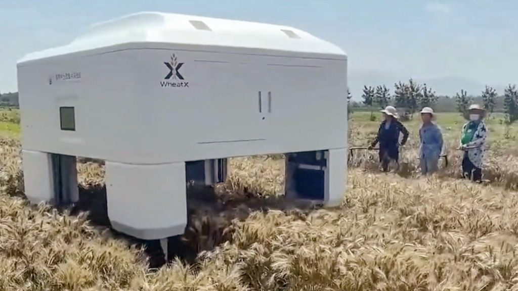 china unveils ai powered robot designed to help farmers breed better strains of wheat